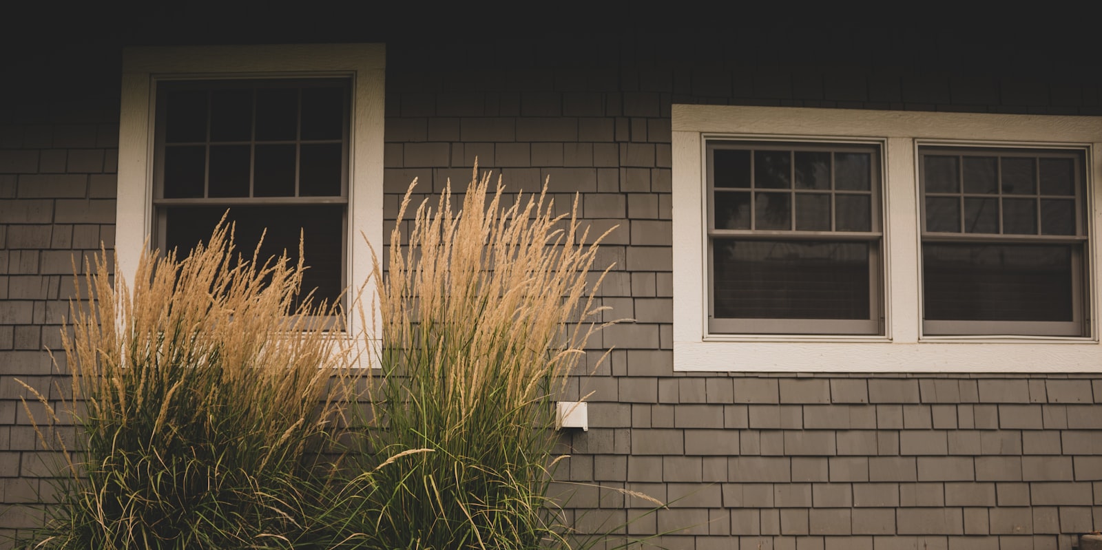 Replacement windows in cedar-shingle siding — illustrative of RL Remodeling's door and window installation services.